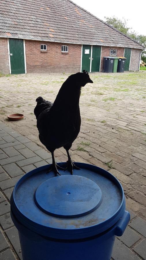 Logeerruimte In Gerenoveerde Boerderij In Wachtum Exterior foto