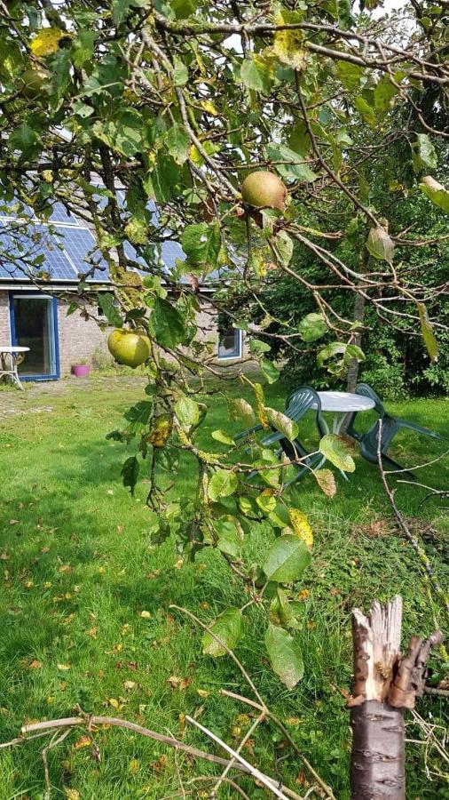 Logeerruimte In Gerenoveerde Boerderij In Wachtum Exterior foto