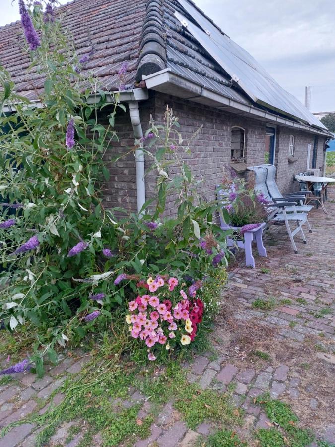 Logeerruimte In Gerenoveerde Boerderij In Wachtum Exterior foto