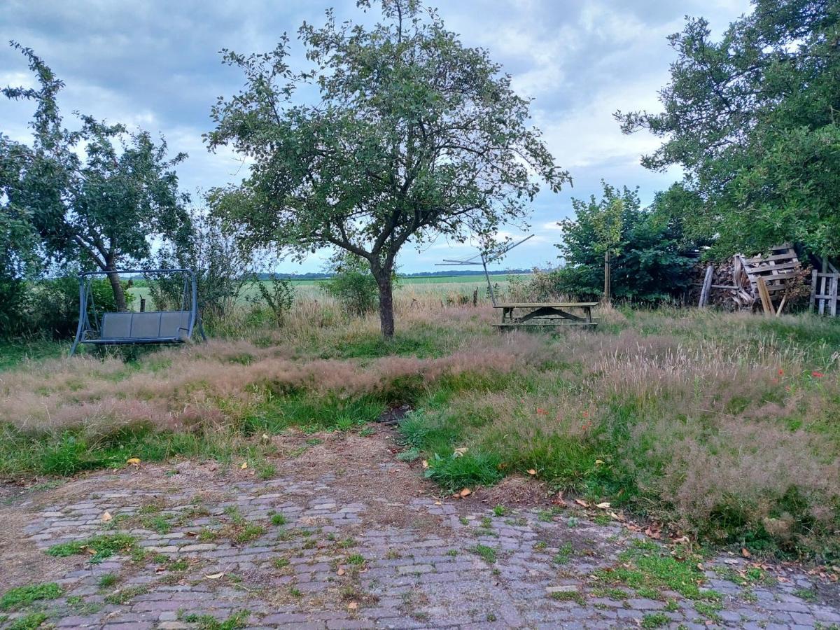Logeerruimte In Gerenoveerde Boerderij In Wachtum Exterior foto