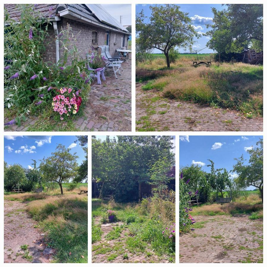 Logeerruimte In Gerenoveerde Boerderij In Wachtum Exterior foto