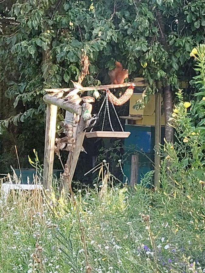 Logeerruimte In Gerenoveerde Boerderij In Wachtum Exterior foto